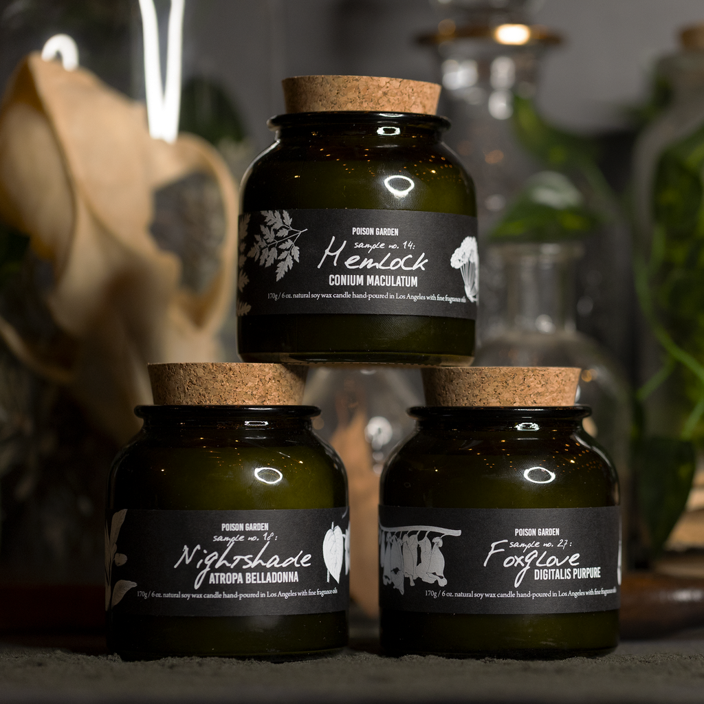 Cantrip Candles: Poison Garden Trio (6 oz)