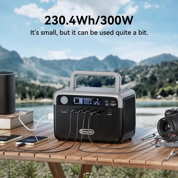 FlashFish 300W Station + 60W Solar Panel, view 2